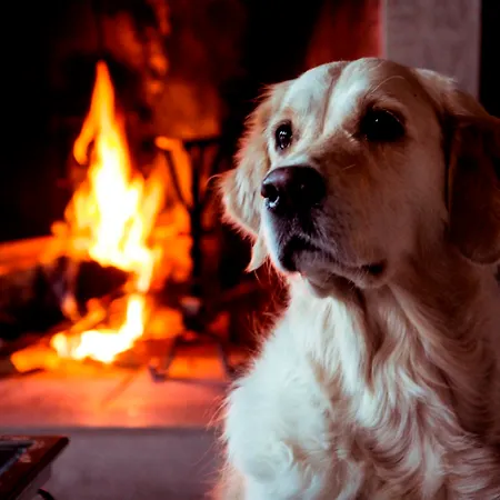 Tenuta La Cascinetta 4*