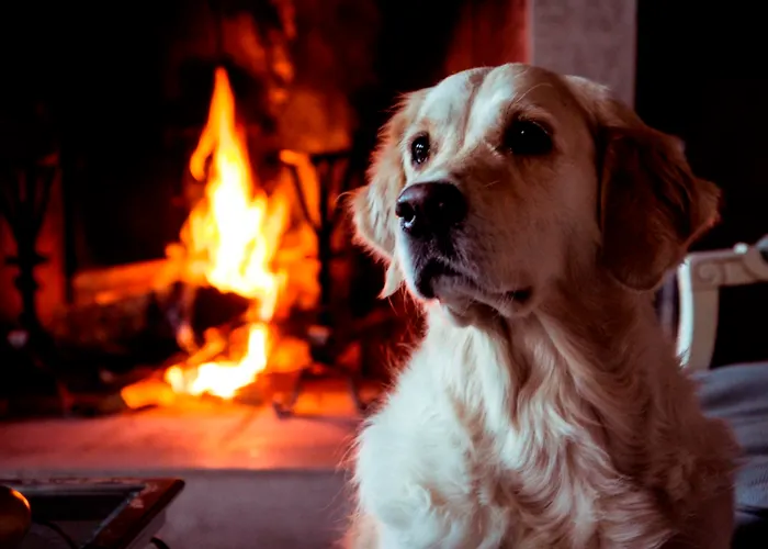 Tenuta La Cascinetta 4*