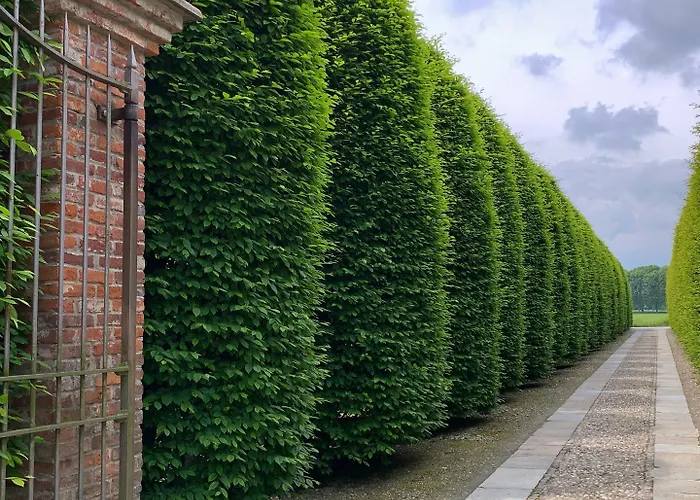 Tenuta La Cascinetta Otel